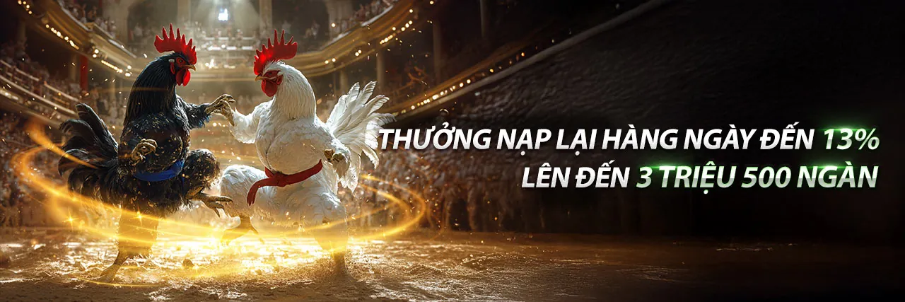 Sân đấu đá gà trực tuyến tại vn16 win