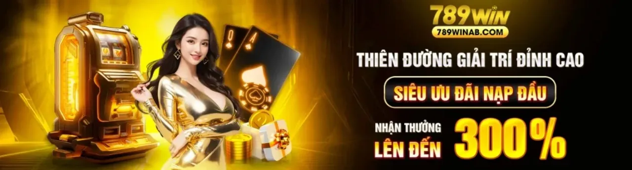 Chương trình Đối tác vn16 win