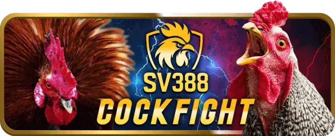 Hình ảnh về sứ mệnh và tầm nhìn của vn16 win